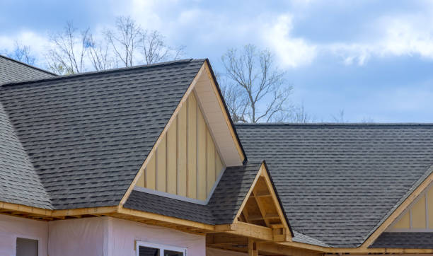 Best Steel Roofing  in Viola, NY